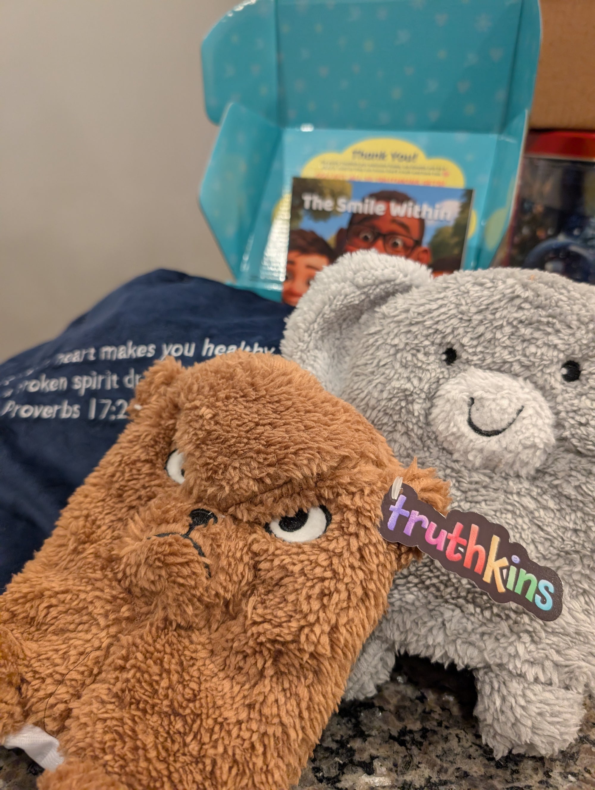 Angry / Cheerful Truthkins Set (Proverbs 17:22)